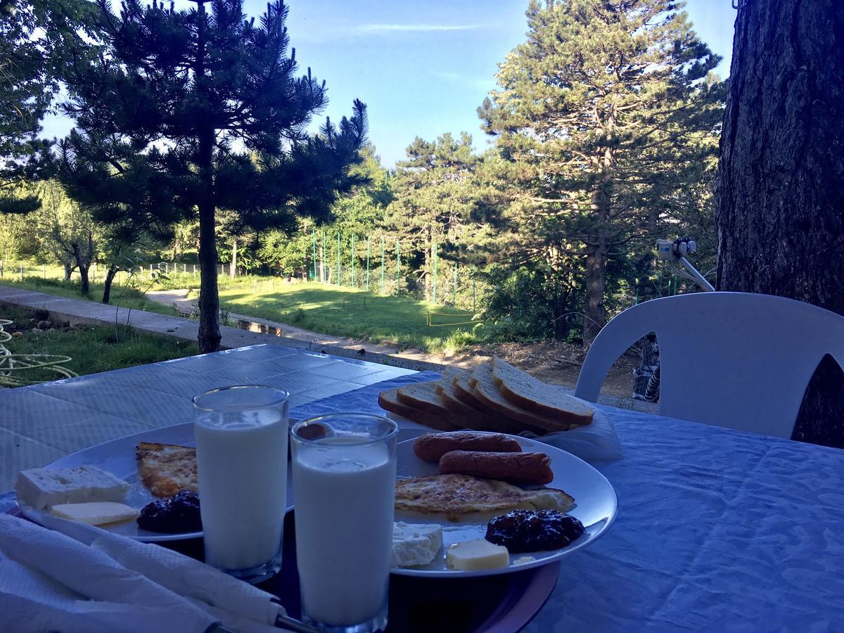 Cudhi-Kamt Shkreli Resort Qafeshtame מראה חיצוני תמונה